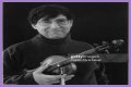David Shapiro (musician)