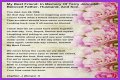 Farewell To A Beloved Husband, Father, And Friend